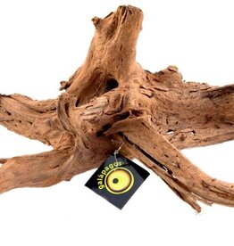 NATURAL PACK GALAPAGOS GALAPAGOS- DRIFTWOOD- 11-13 INCHES- MEDIUM