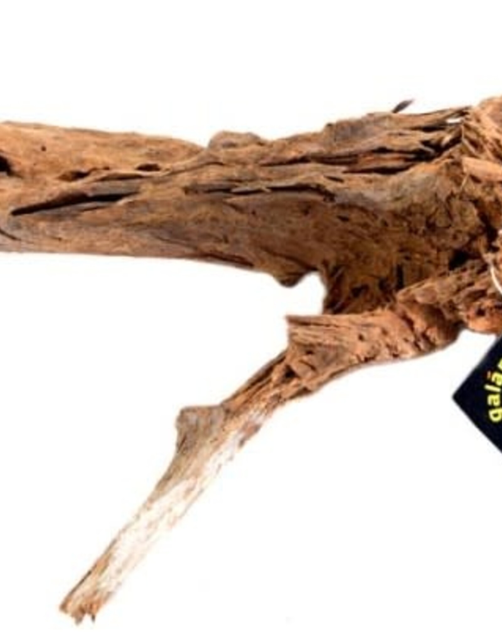 GALAPAGOS GALAPAGOS- DRIFTWOOD- 18-24 INCES- LARGE
