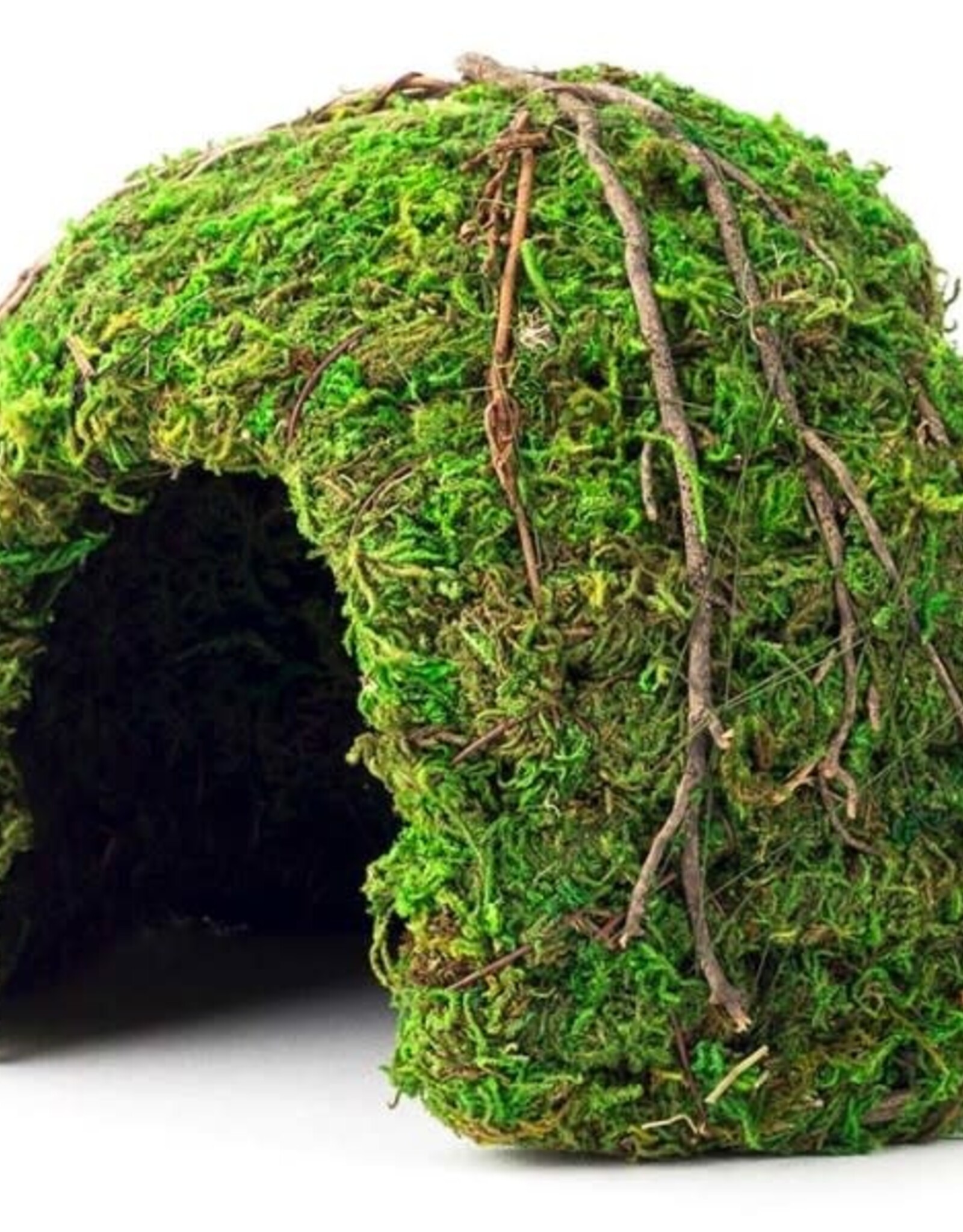 NATURAL PACK GALAPAGOS GALAPAGOS- HIDE- 6.5X6.5X4.5- MOSSY DOME