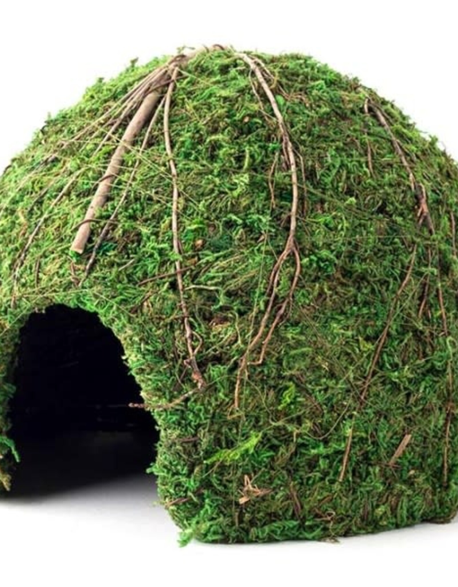 NATURAL PACK GALAPAGOS GALAPAGOS- HIDE- 9X9X6.5- MOSSY DOME