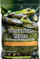 NATURAL PACK GALAPAGOS GALAPAGOS- PILLOW MOSS- 150CI