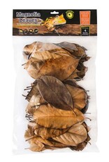 GALAPAGOS GALAPAGOS- MAGNOLIA LEAVES- 4QT