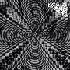 HOOKWORMS / HOOKWORMS