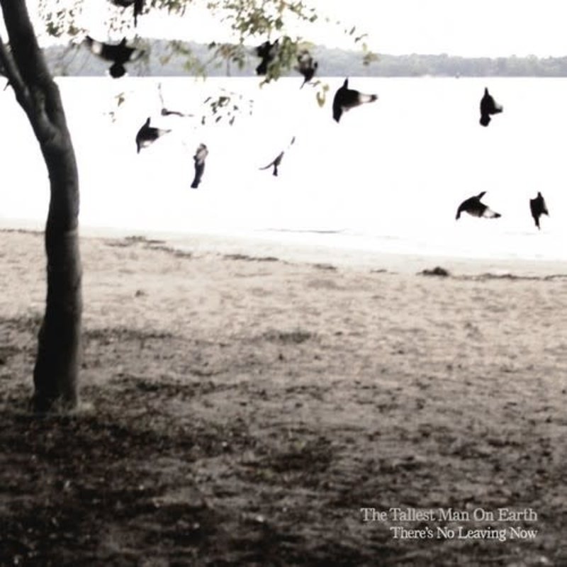 TALLEST MAN ON EARTH / THERE'S NO LEAVING NOW (CD)