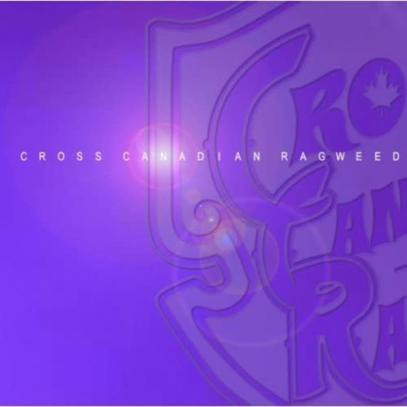 CROSS CANADIAN RAGWEED (CD)