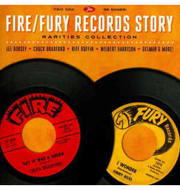 FIRE & FURY RECORDS RARITIES COLLECTION / VARIOUS (CD)