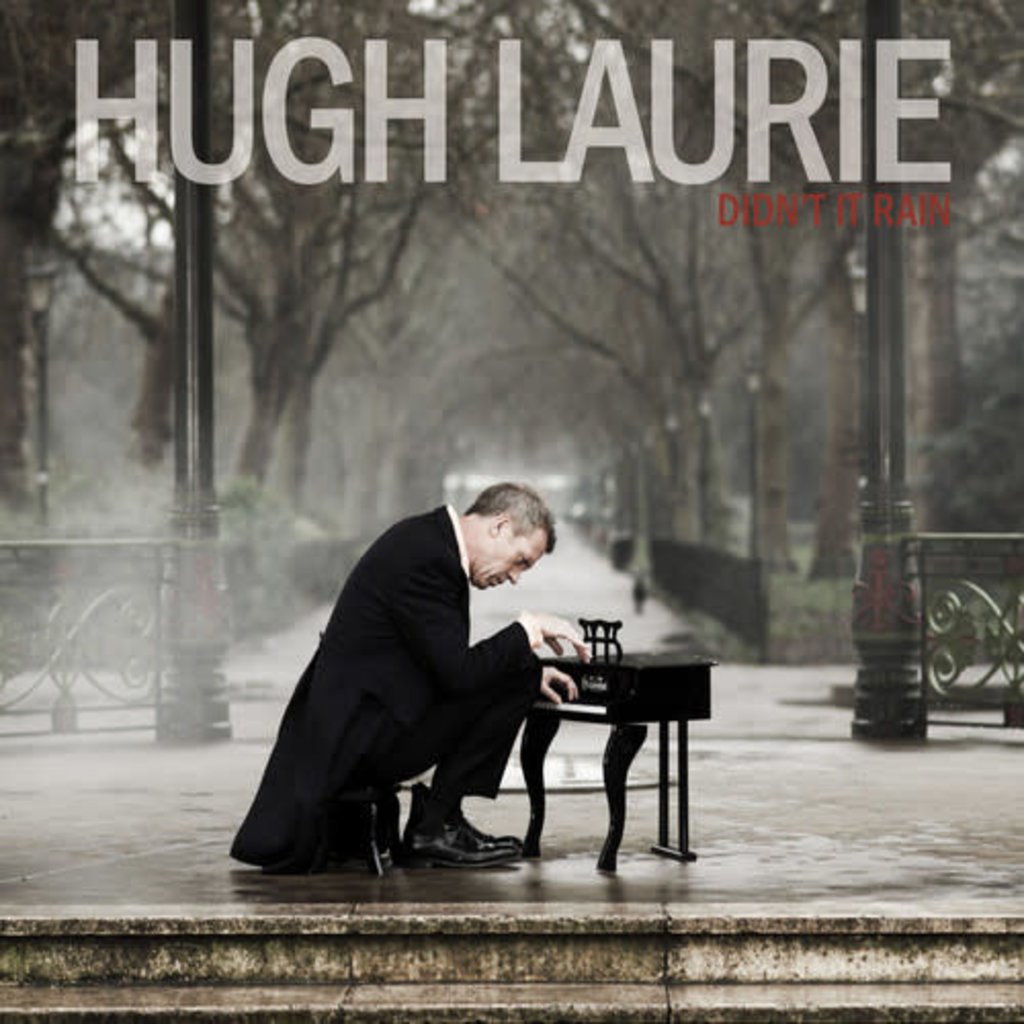 LAURIE,HUGH / DIDN'T IT RAIN (CD)