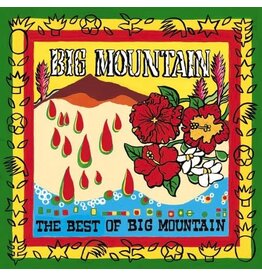 BIG MOUNTAIN / BEST OF BIG MOUNTAIN (CD)