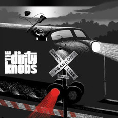 DIRTY KNOBS / Wreckless Abandon (CD)