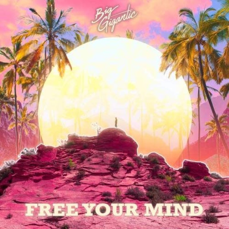 BIG GIGANTIC / Free Your Mind (CD)