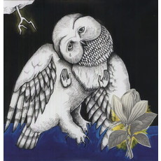 SONGS: OHIA / MAGNOLIA ELECTRIC CO.