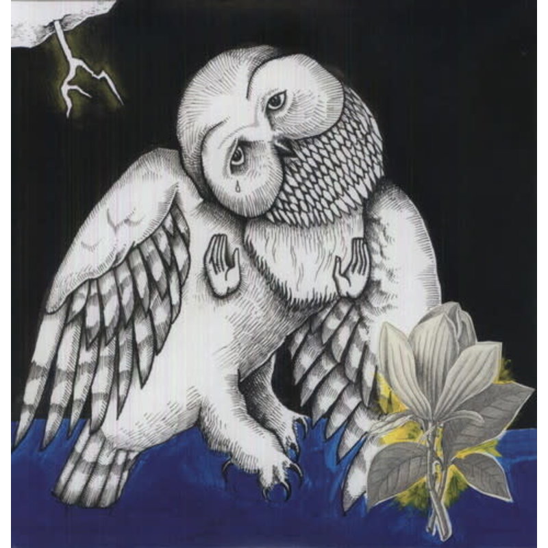 SONGS: OHIA / MAGNOLIA ELECTRIC CO.