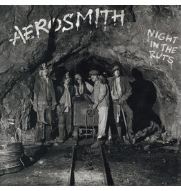 AEROSMITH / NIGHT IN THE RUTS (CD)