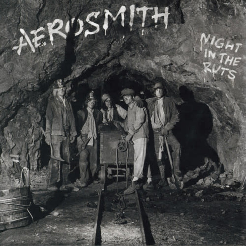 AEROSMITH / NIGHT IN THE RUTS (CD)