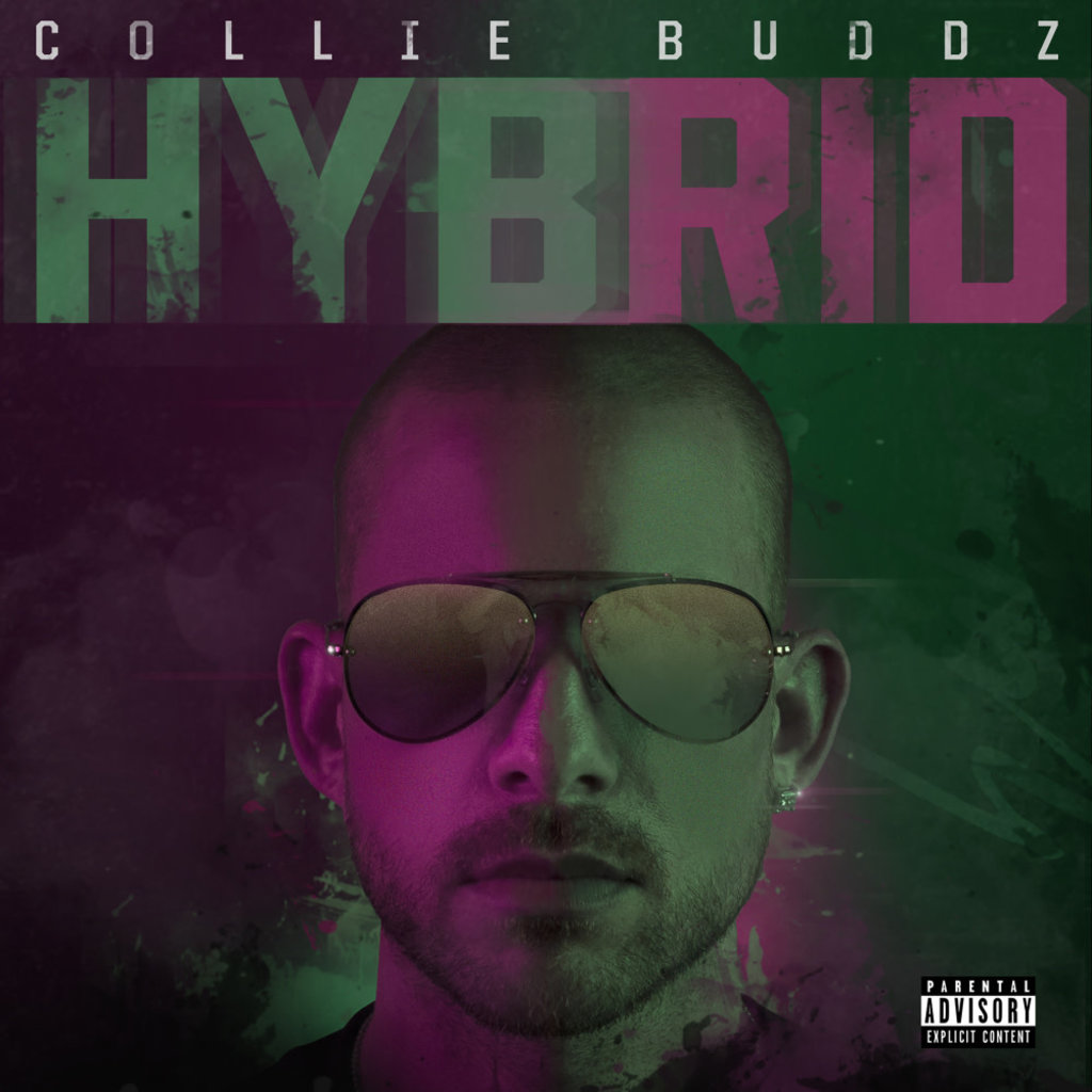 BUDDZ,COLLIE / Hybrid (CD)