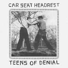 CAR SEAT HEADREST / Teens Of Denial