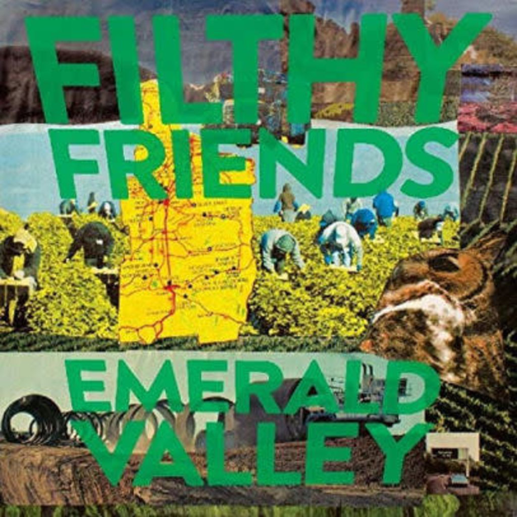 FILTHY FRIENDS / Emerald Valley (CD)