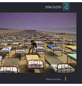 PINK FLOYD / A Momentary Lapse Of Reason