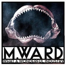 M. WARD / WHAT A WONDERFUL INDUSTRY (CD)