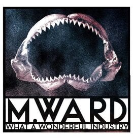 M. WARD / WHAT A WONDERFUL INDUSTRY (CD)