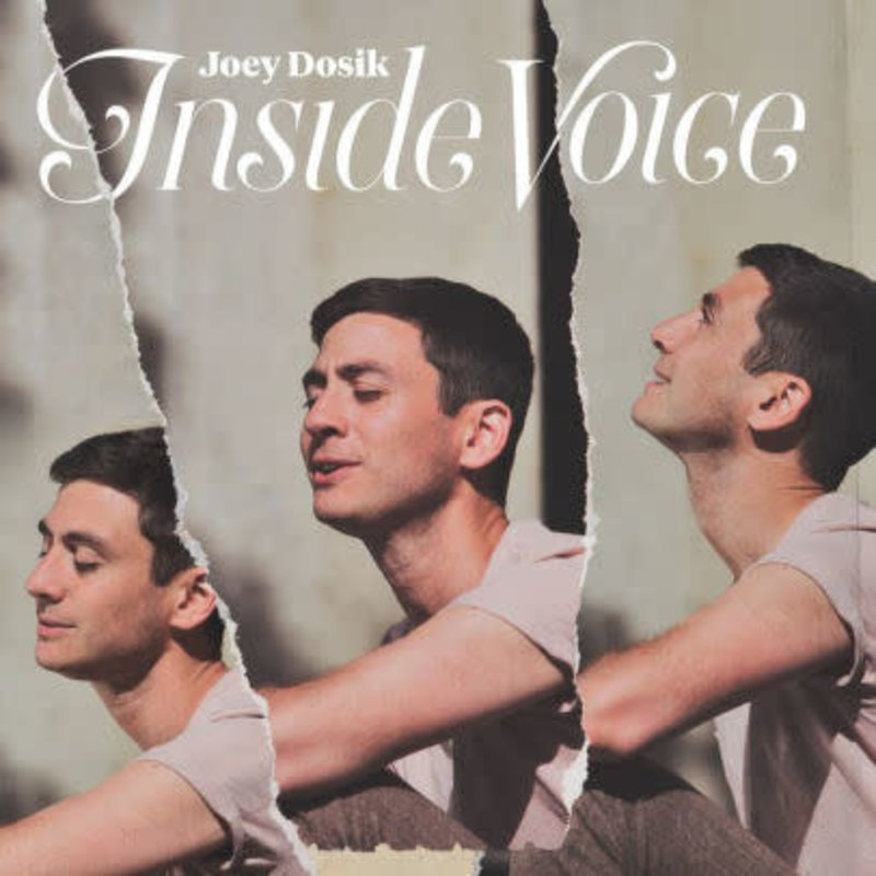 DOSIK,JOEY / Inside Voice (CD)