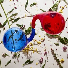 Dirty Projectors / Lamp Lit Prose (CD)