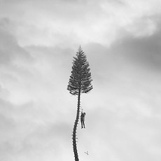 MANCHESTER ORCHESTRA / A Black Mile To The Surface