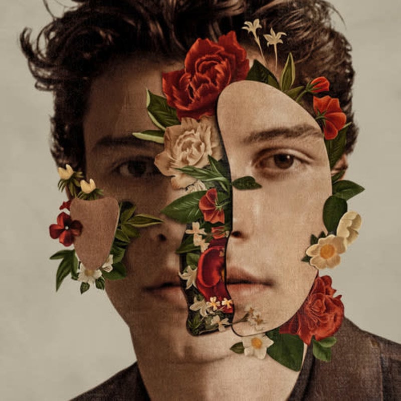 MENDES,SHAWN / Shawn Mendes (CD)