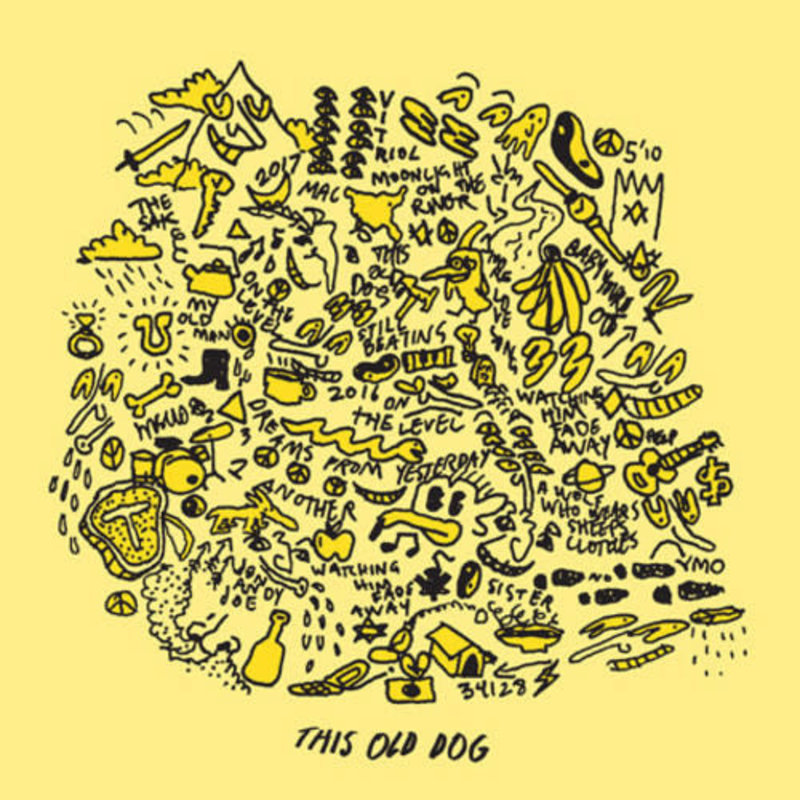 DeMarco, Mac / This Old Dog