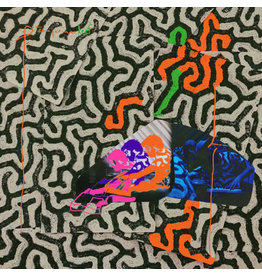 ANIMAL COLLECTIVE / Tangerine Reef