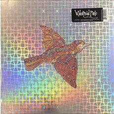 WIDESPREAD PANIC / Till The Medicine Takes