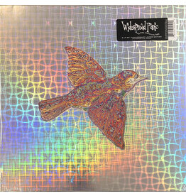 WIDESPREAD PANIC / Till The Medicine Takes