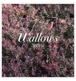 WALLOWS / Spring