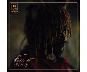 THUNDERCAT / It Is What It Is (CD) - Mill City Sound