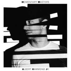 Hammond, Albert Jr. / Momentary Masters (CD)