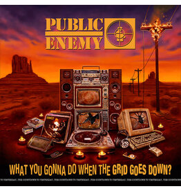 PUBLIC ENEMY / What You Gonna Do When The Grid Goes Down? (CD)