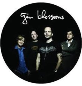 GIN BLOSSOMS/Live In Concert - Picture Disc Vinyl