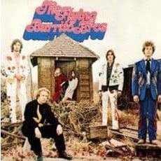 FLYING BURRITO BROTHERS / The Gilded Palace Of Sin