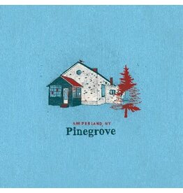 PINEGROVE / Amperland NY (CD)