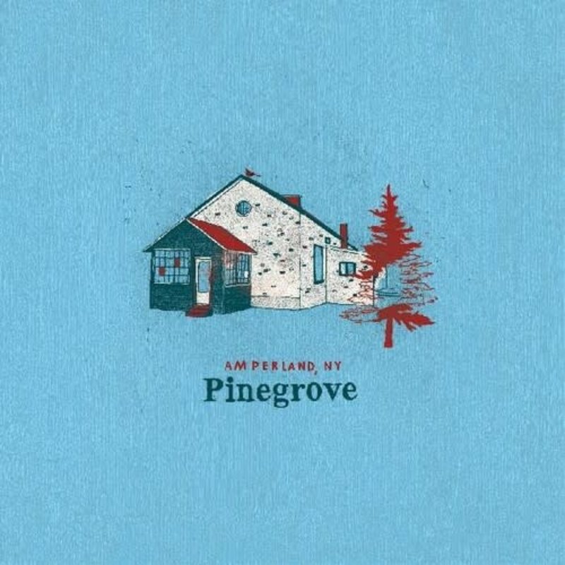 Pinegrove / Amperland, NY(CD)