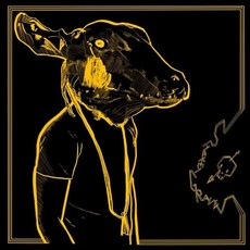 SHAKEY GRAVES / Roll The Bones X (Gold & Black Vinyl)