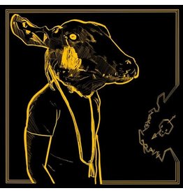 SHAKEY GRAVES / Roll The Bones X (Gold & Black Vinyl)