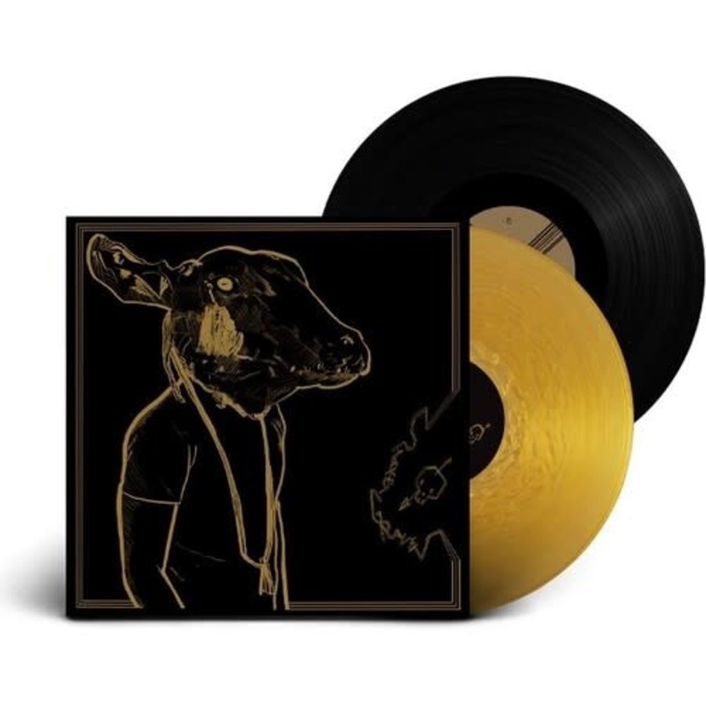 SHAKEY GRAVES / Roll The Bones X (Gold & Black Vinyl)