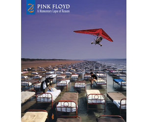 pink-floyd-a-momentary-lapse-