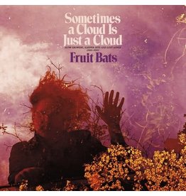 FRUIT BATS / Sometimes a Cloud Is Just a Cloud: Slow Growers, Sleeper Hits and Lost Songs (2001–2021)