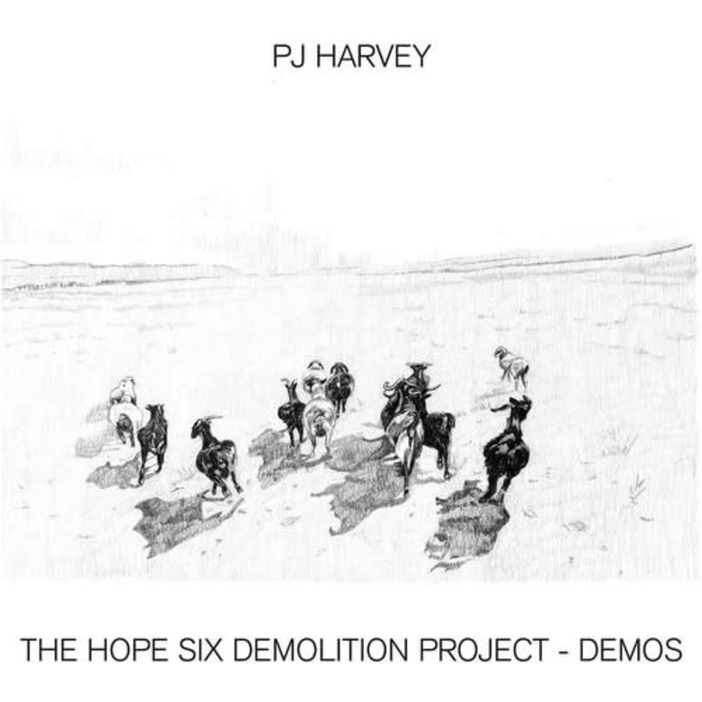 HARVEY,PJ / The Hope Six Demolition Project - Demos