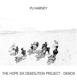 HARVEY,PJ / The Hope Six Demolition Project - Demos