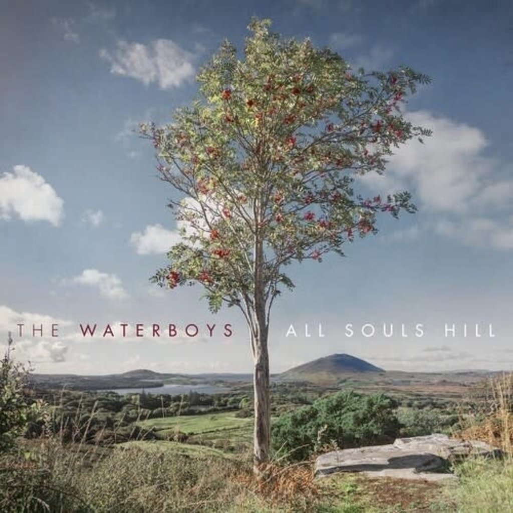 WATERBOYS / All Souls Hill (CD)