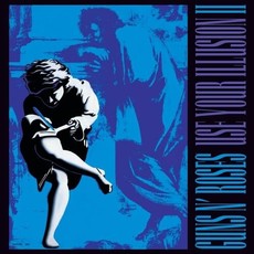 GUNS N ROSES / Use Your Illusion II  (2LP)