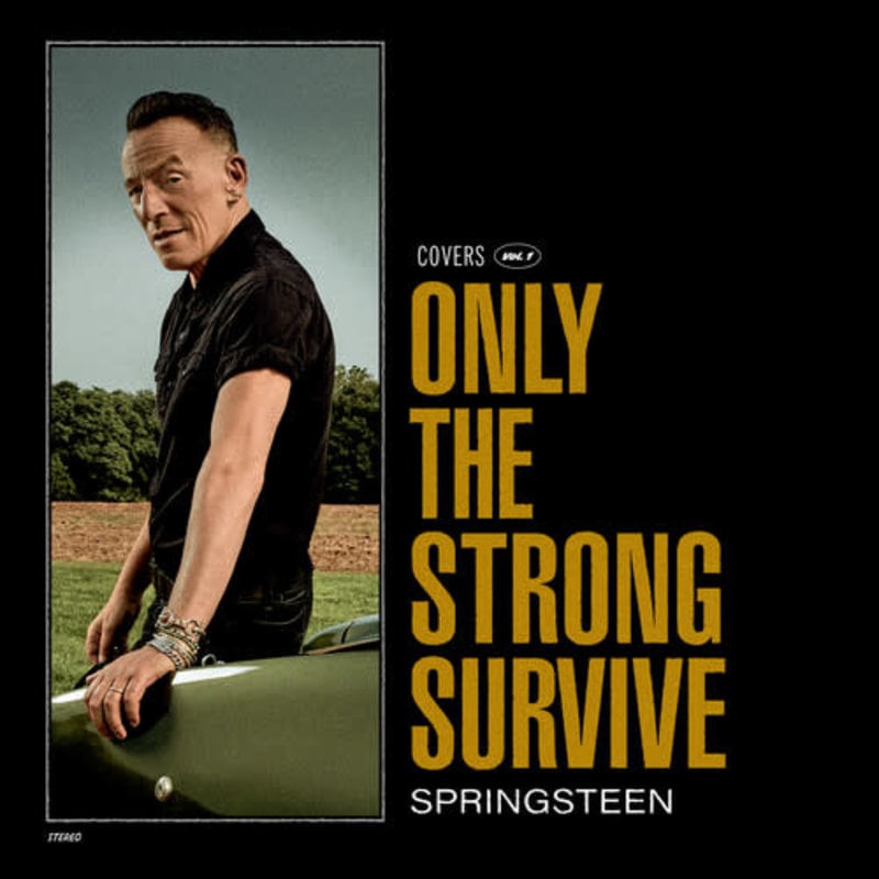 SPRINGSTEEN, BRUCE / Only The Strong Survive (Colored Vinyl, Orange, Gatefold LP Jacket, Poster, Indie Exclusive)